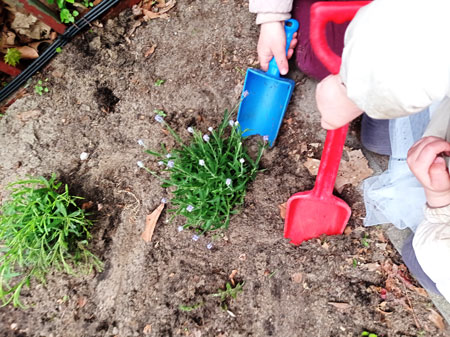 Zwei Kinder pflanzen Blumen ein