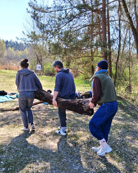 3 Erzieher*innen tragen einen schweren Ast