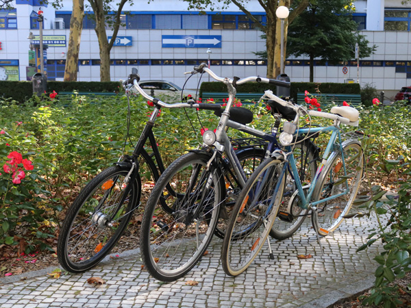 reparierte Fahrräder stehen auf einem Platz zwischen Rosen